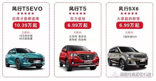 中南汽车世界有多少种