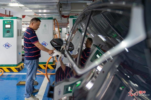 湖镇到深圳汽车多少钱