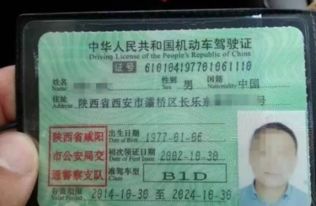 汽车b证工资多少