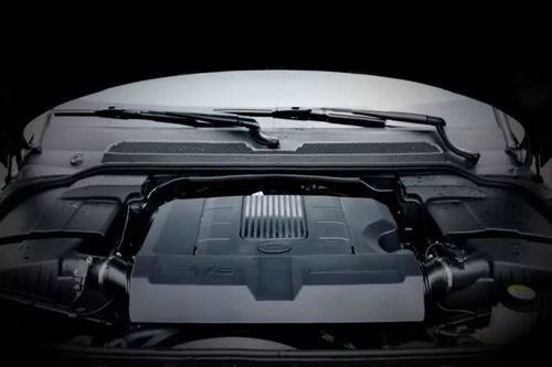 跟女人聊汽车排量多少