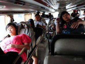 郑州到漯河汽车多少钱