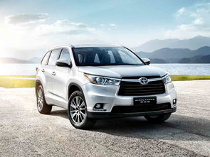 北京李元霸汽车多少钱