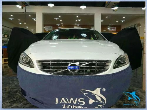 大白鲨汽车多少钱