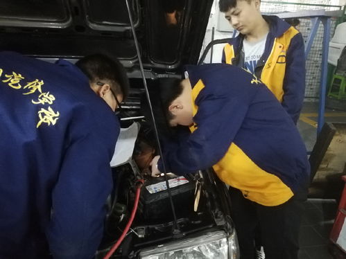 沙坪坝汽车培训收费多少