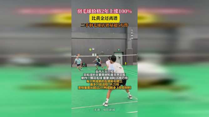 羽毛球涨幅超过黄金