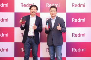 雷军停更4天 卢伟冰回应其近况