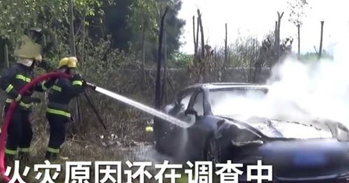 男子扫墓车停路边被烧成空壳 男子扫墓车停路边被烧成空壳