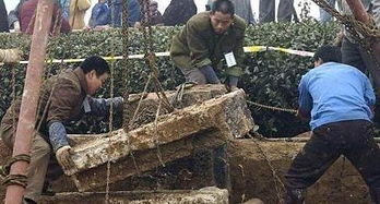 家族30余人祭祖在太公坟前露营 家族30余人祭祖在太公坟前露营