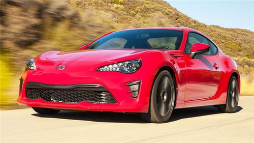 汽车拉花多少钱