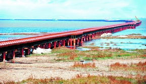 泉州湾大桥汽车时速多少