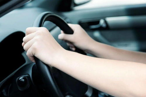 郑州汽车过户费多少