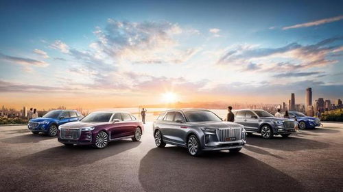 中国汽车高度最高是多少