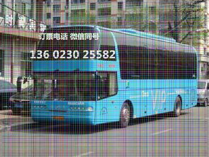 揭阳汽车年审多少钱