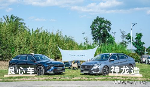 汽车保护神多少钱