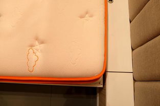 汽车床垫多少钱一个