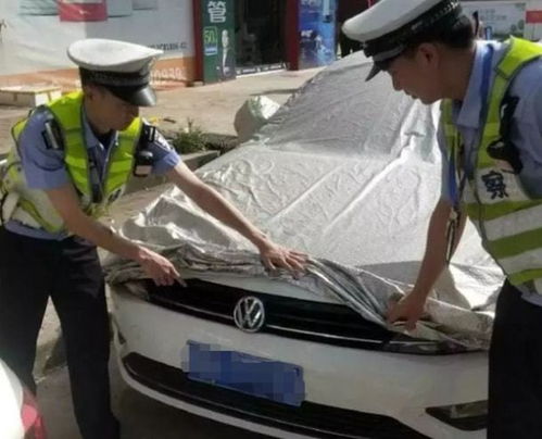 汽车套车衣多少钱 汽车套车衣多少钱