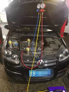 汽车加多少氟利昂 汽车加多少氟利昂