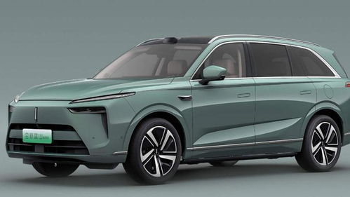 大兴汽车魏牌多少钱