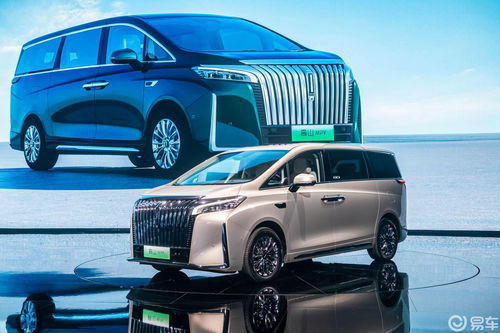 大兴汽车魏牌多少钱