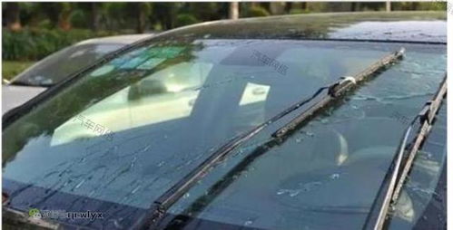 安装汽车雨刮器要多少钱