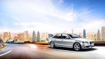 汽车共有多少个小项 汽车共有多少个小项