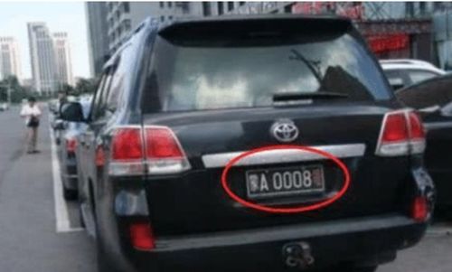 牌照汽车违停奖励多少