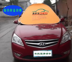 汽车太阳伞多少钱 汽车太阳伞多少钱