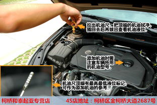 起亚汽车机油怎么调多少