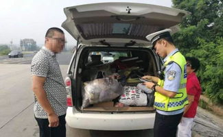 汽车不能拉多少公斤 汽车不能拉多少公斤