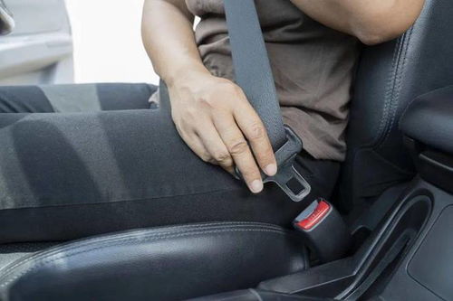 汽车安全带损耗多少