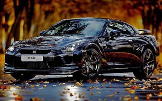 汽车打个蜡多少钱