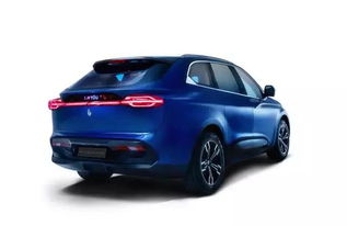 奇点汽车suv多少钱