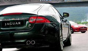 汽车有多少种颜色