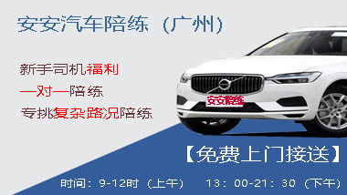 汽车陪驾多少钱