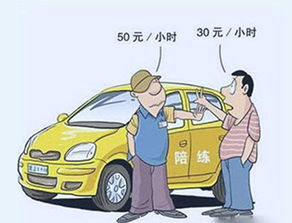 汽车陪驾多少钱