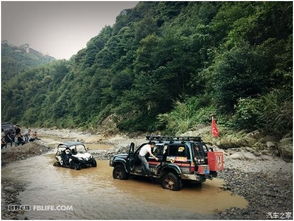 桂东到安仁汽车多少钱