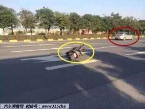 汽车公路分多少种