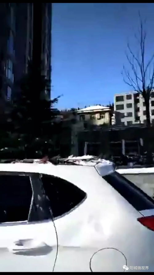汽车风力等级是多少 汽车风力等级是多少