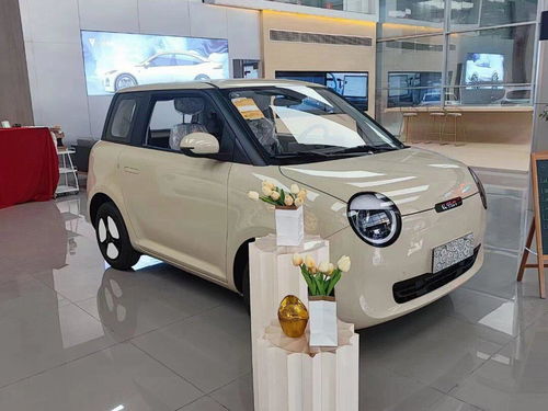 糯玉米汽车贴膜多少钱 糯玉米汽车贴膜多少钱