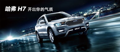 havel汽车多少钱
