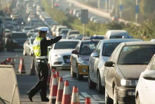 大明汽车尾号限多少