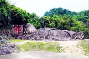 石林节能汽车多少钱