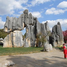 石林节能汽车多少钱