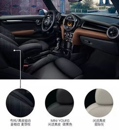 汽车内饰有多少色的 汽车内饰有多少色的