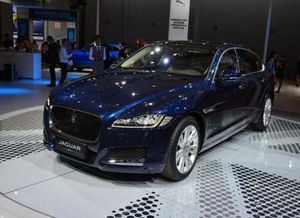 现在汽车强险多少钱