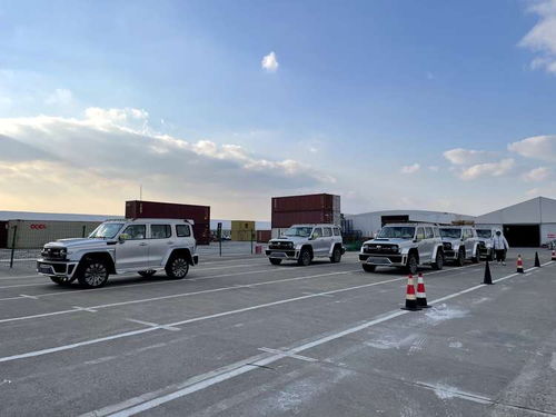 赛博汽车300多少马力 赛博汽车300多少马力