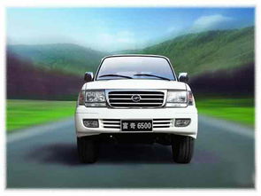 富奇汽车多少钱