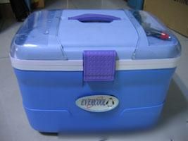 汽车冰箱多少钱