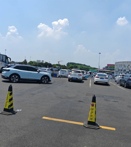 汽车多少点检票