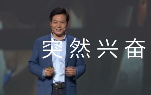 雷军停更5日来首次发声